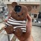 قاب خرس لباس راه راه لویی Apple iphone xsmax
