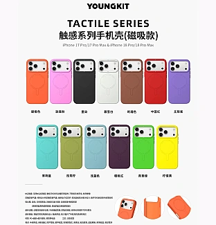 قاب Youngkit یانگ کیت مراندی Morandi series Iphone